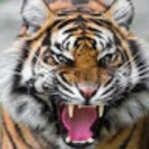 Meet your Posher, Jack